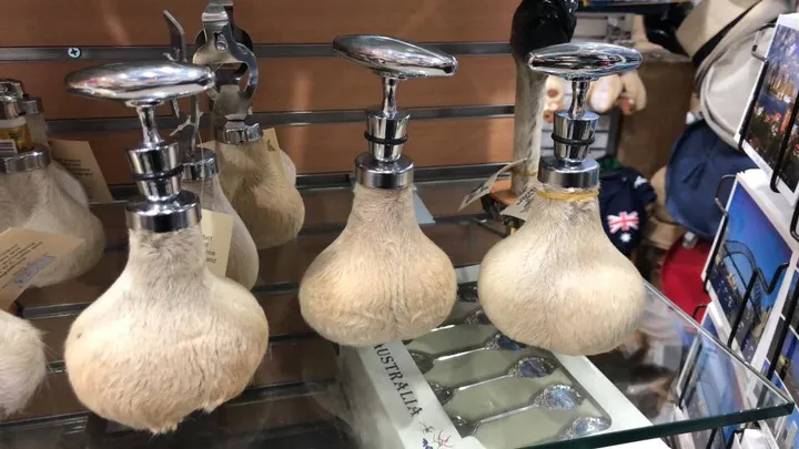 蛋蛋的哀傷|感覺最痛的紀念品