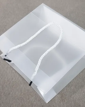 PP 磨砂袋 — 白色扁繩提把